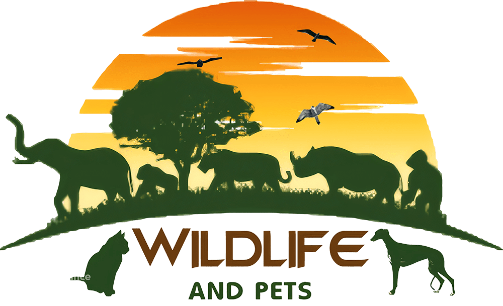 Pets Relocation In Dubai - Pets Shipment - Wildlifepetstrade